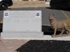 The Howell K9 Memorial Garden. 