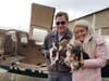 Matthew Kiener, the founder of FlyPups, and Inga Luria, who assisted on a recent rescue flight. The group has transported nearly 1,000 puppies since 2011.