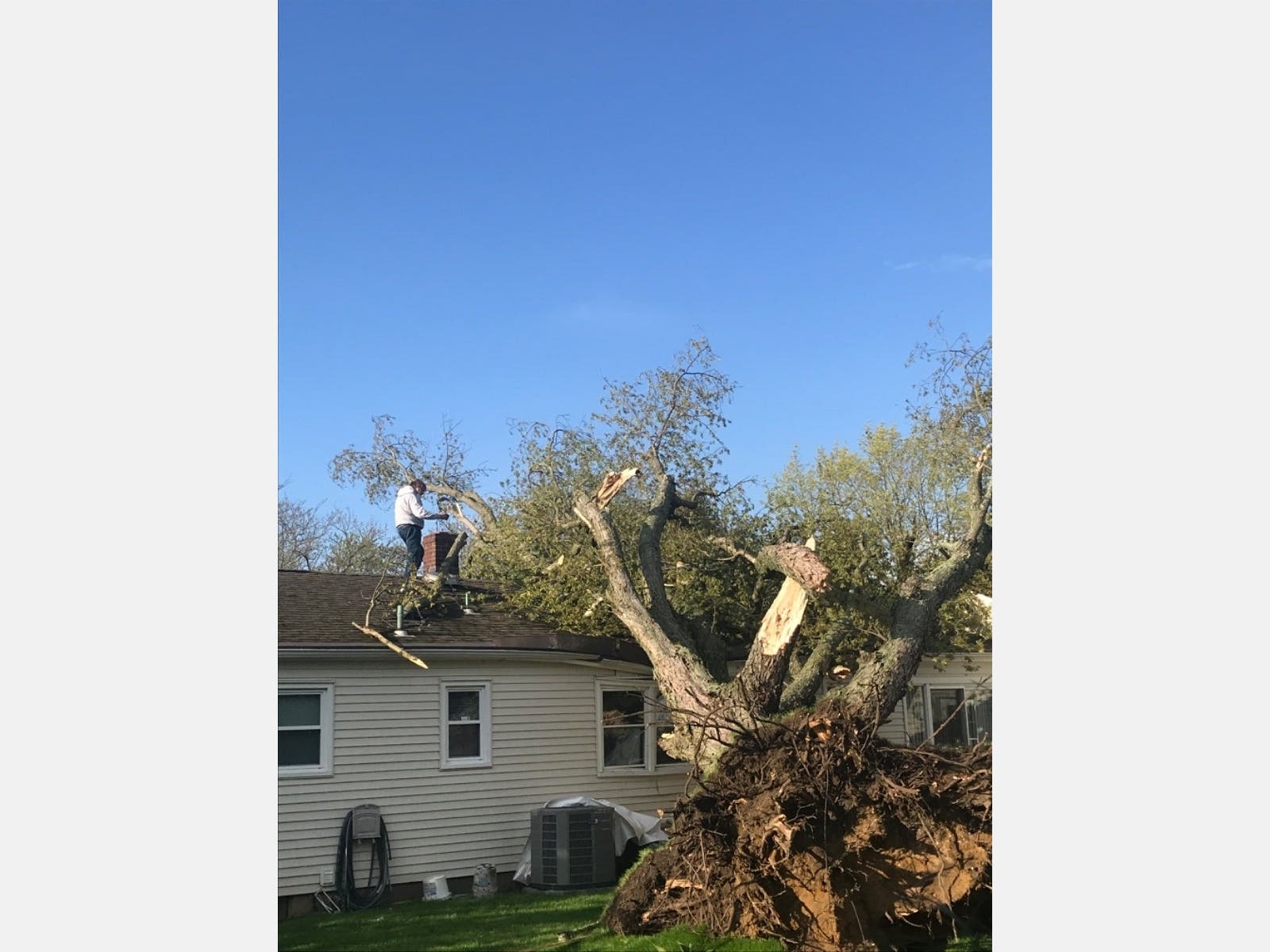 Powerful Storm Rips Down Trees, Damages Homes In Toms River | Toms ...
