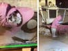 The person in these photos is being sought in connection with a burglary in Manchester, police said. 