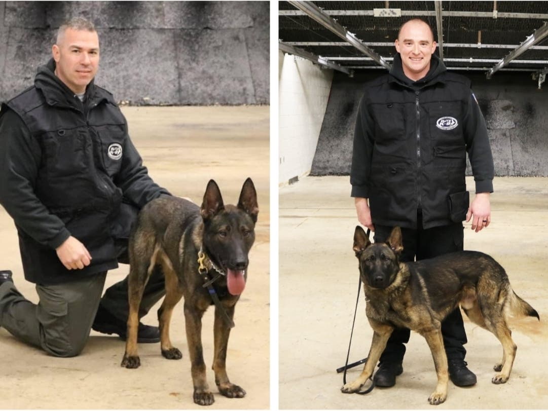 Toms River K-9 Officers Kylo (left, with Officer Richard Buhowski) and Riggs (with Officer Christopher Inglis) will be receiving protective vests.