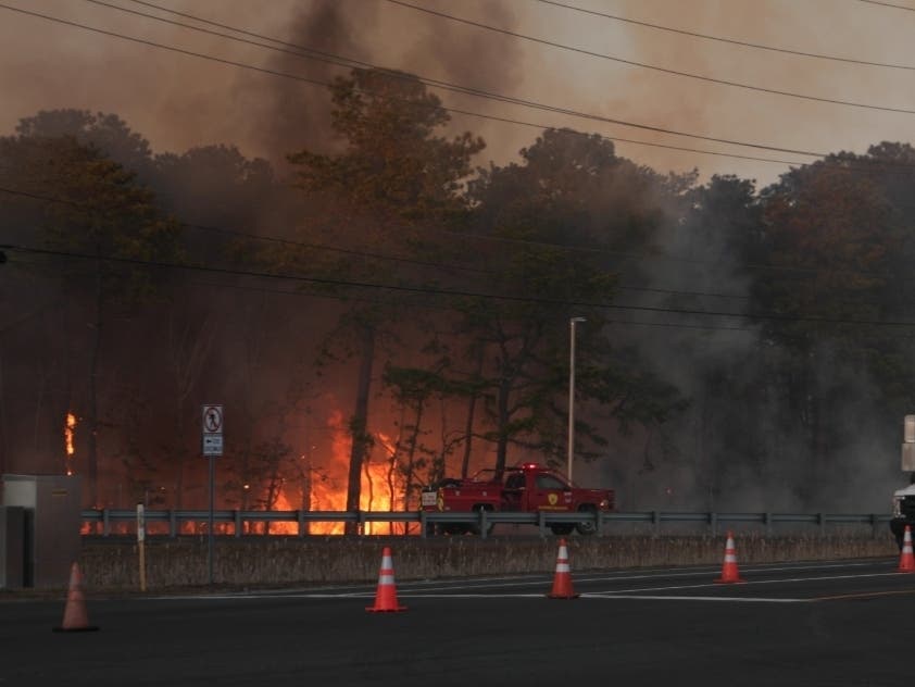 The forest fire that consumed 167 acres on March 14 was prevented from destroying homes by the work of hundreds of firefighters, including volunteers. 