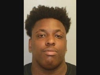 Quintin Alec-Manning, 22, pleaded guilty in March to running over the Canada geese. 