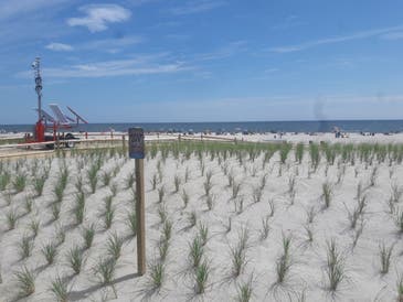 Memorial Day weekend is here. If you're headed to the beach, here's reminders about rules, courtesies and beach badge information.