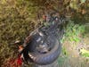 A Toms River man was thrown from his Harley Davidson in the crash with a Dodge on Monday night. He remains hospitalized but was listed as stable, police said. 