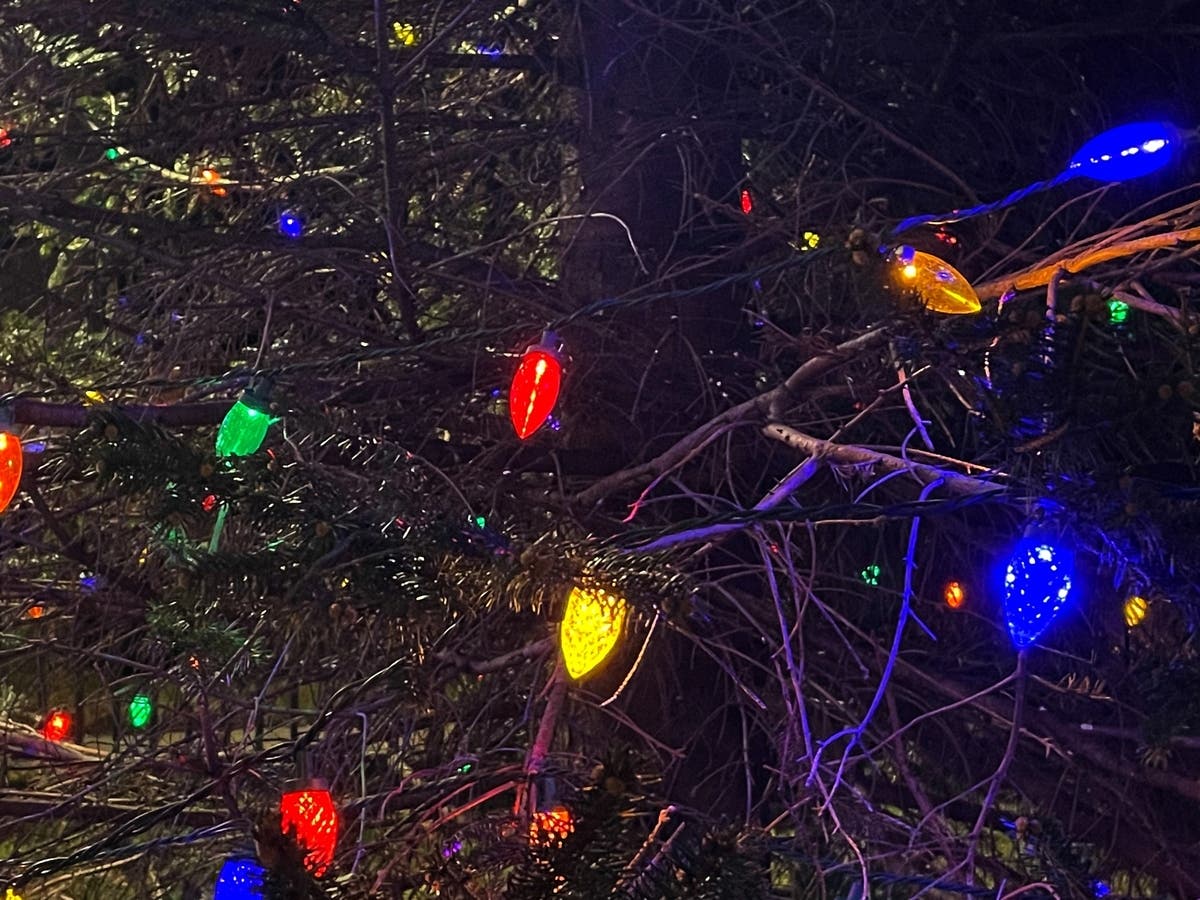 The 2022 Holiday Lights contest for the best-decorated home