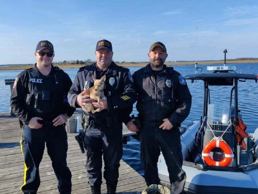 Seaside Heights Officer Shawn Heckler holds Gazelle after he and Seaside Heights Officer Eddie Pasieka (right) rescued the Chihuahua from Barnegat Bay on Thanksgiving. With them is Seaside Heights Officer James Giancone.