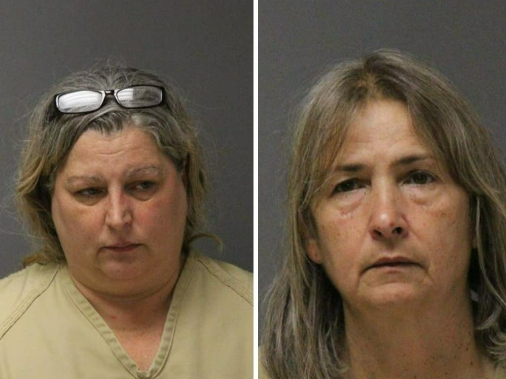 The Ocean County prosecutor's office wants Aimee Lonczak and Michele Nycz jailed until trial, saying they violated their pretrial release conditions by going to Southern Ocean County shelter to demand their dogs.