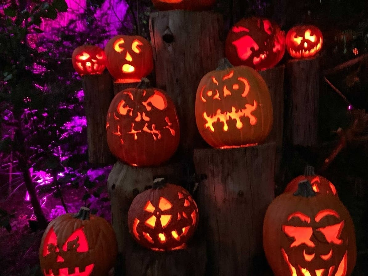 Find out how to enter your home into the Brick Township Recreation Department's contest. 