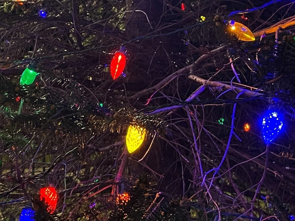 Sea Of Lights Returns To Jenkinson's In Point Pleasant Beach Point