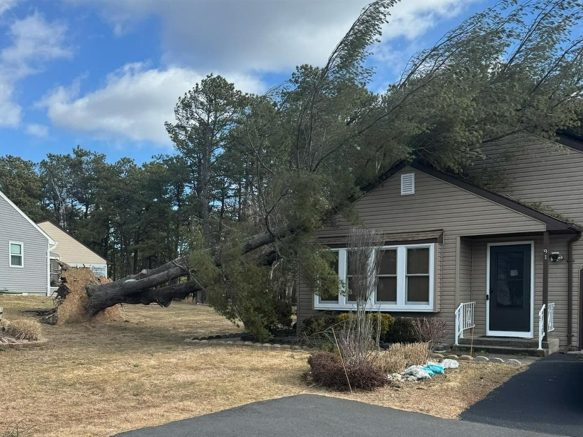 60-MPH Wind Gusts In NJ Rip Down Trees, Leave Thousands Without Power ...