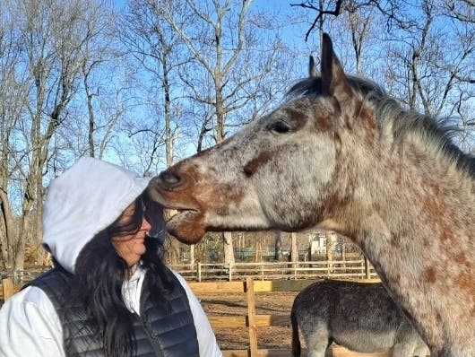 Julia Callano and her husband, Angel Angelov, fought for two years to operate their farm and their nonprofit. 
