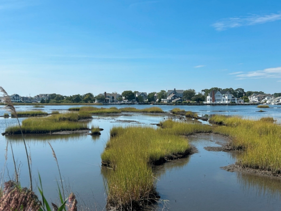 The Nellie Bennett Salt Marsh in Point Pleasant will undergo a restoration project that aims to help the ecology of the area and improve flood protection. 