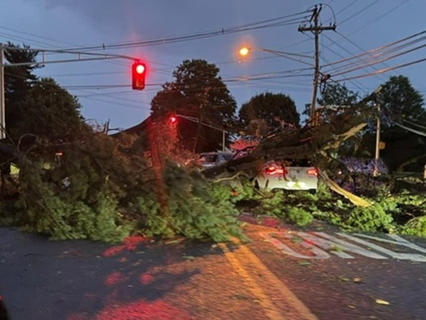 Friday's storm brought a tree down on a vehicle in Freehold.