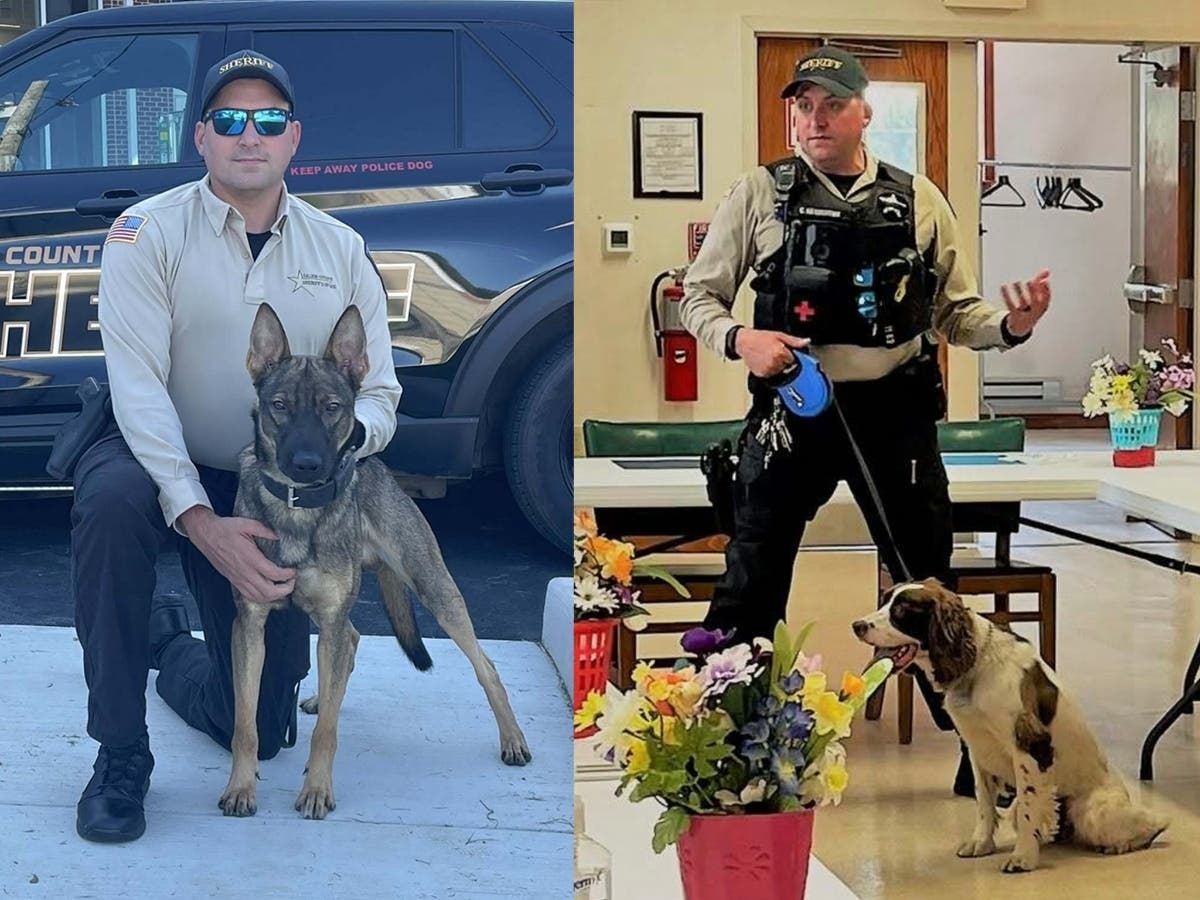 Salem K-9s Rip (left) and Boomer died May 29 when they were left in sheriff's vehicle for 7 hours by their handler, Sheriff's Officer Cody Henderson. He has been charged in their deaths.
