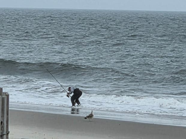 A surf fisherman grabs his catch in the surf at the Jersey Shore.