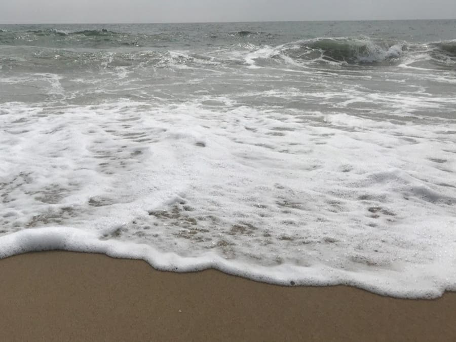 New Jersey issues swimming advisories for 12 ocean beaches after water samples exceed Enterococci bacteria limits; elevated levels likely caused by recent rains.