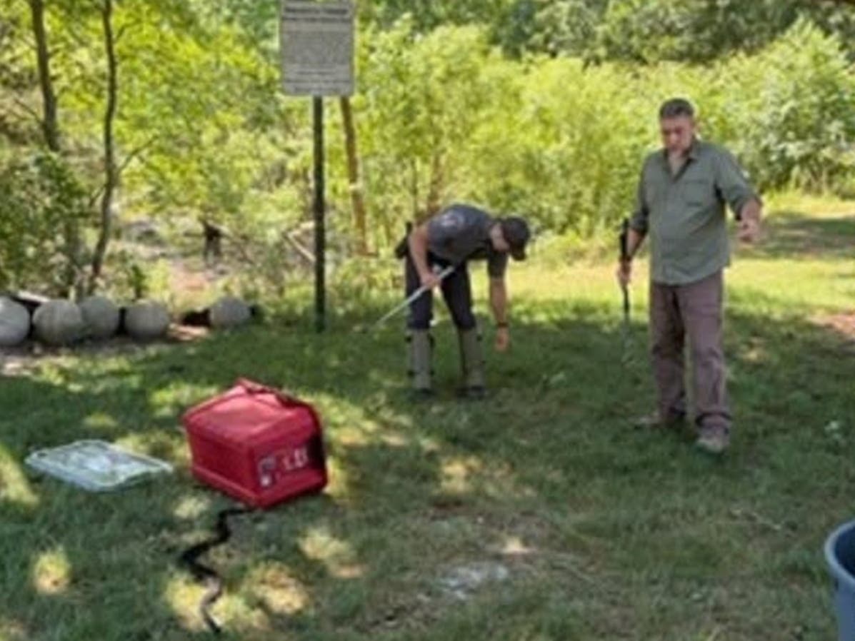 Manchester Township police have received training in handling venomous snakes. 