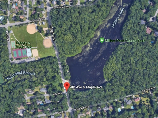 location where the rooster was found