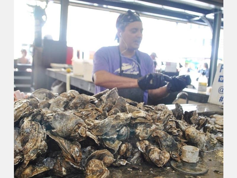 The Gino Macchio Foundation announced last week that it will purchase 1,000 oysters, at the rate of .50 cents per oyster, from each Islip Farm to help cover daily expenses during these difficult times.