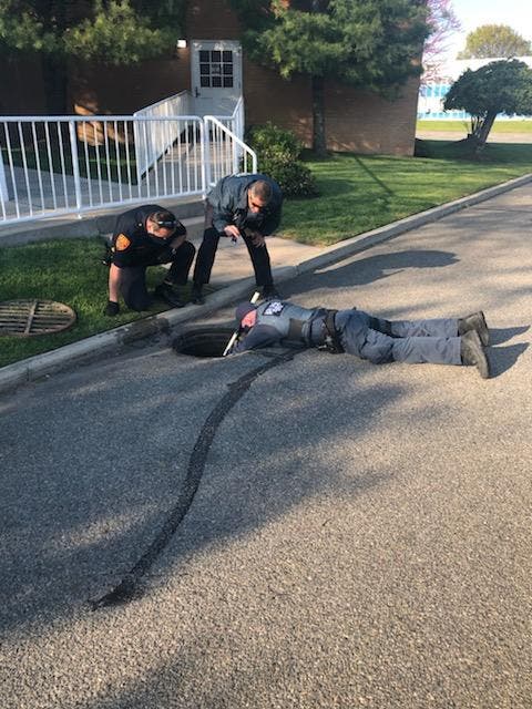 Police Rescue 7 Ducklings From Storm Drain In West Babylon | Babylon ...