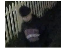 Suffolk Police say the man threw three bricks through the window of Argyle Jewelers on 216 Deer Park Avenue at 1:30 a.m. on April 26.