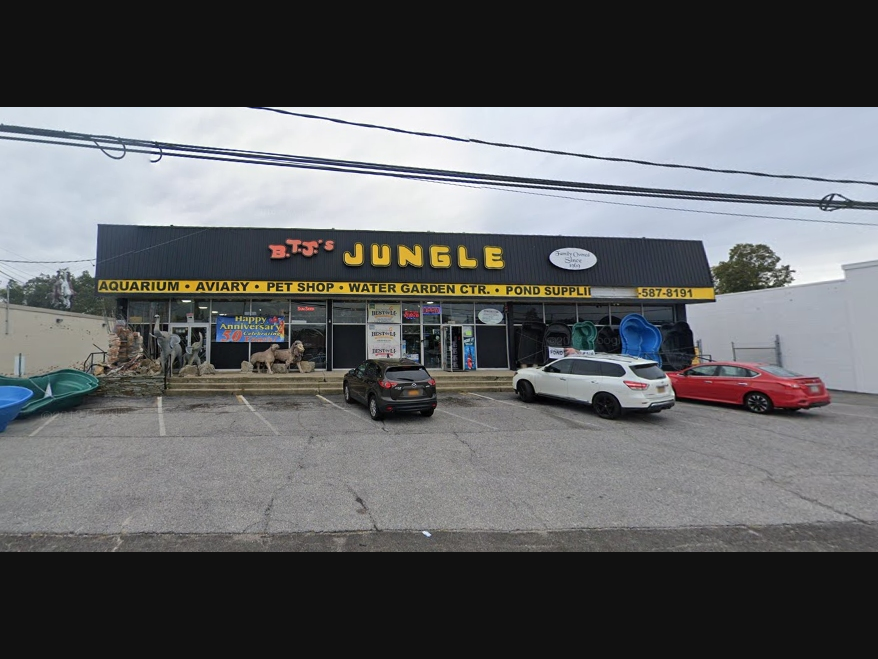 The two baby ball pythons were stolen from the store Friday between 11:45 a.m. to noon.