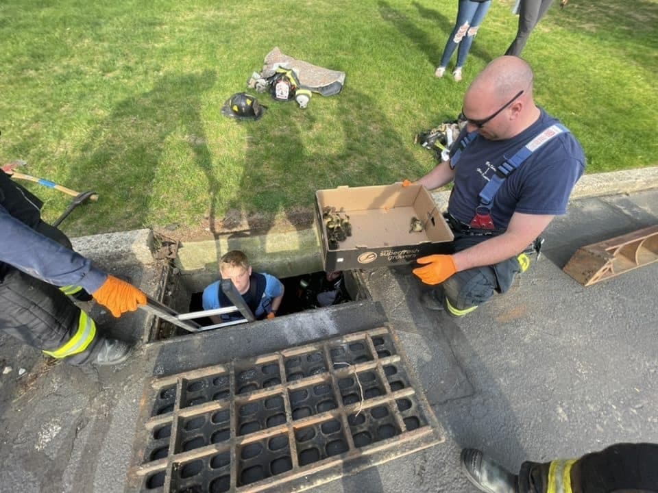 Members of the Bay Shore Fire Department received a call to assist in saving the ducklings who had fallen into a storm drain on Mystic Circle at about 6 p.m.