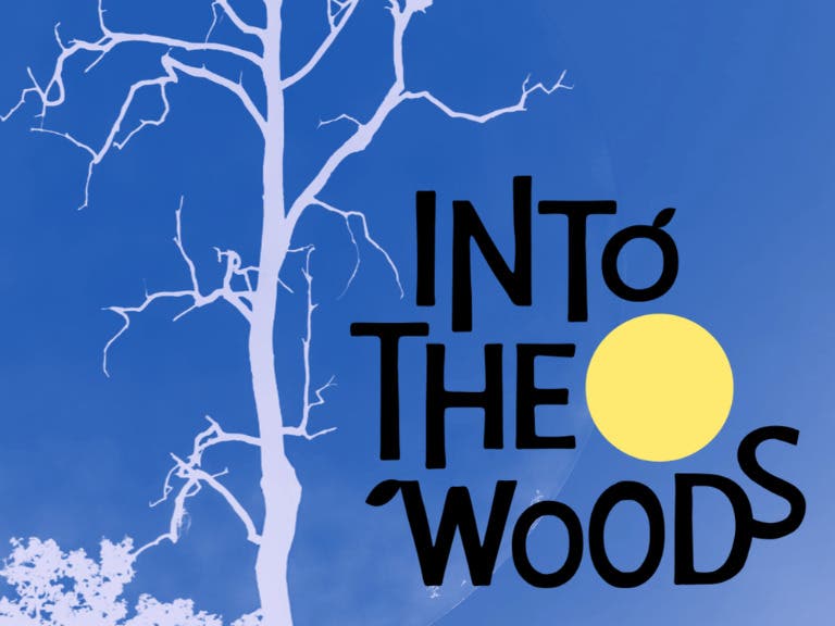 2nd Star Productions presents: Into the Woods
