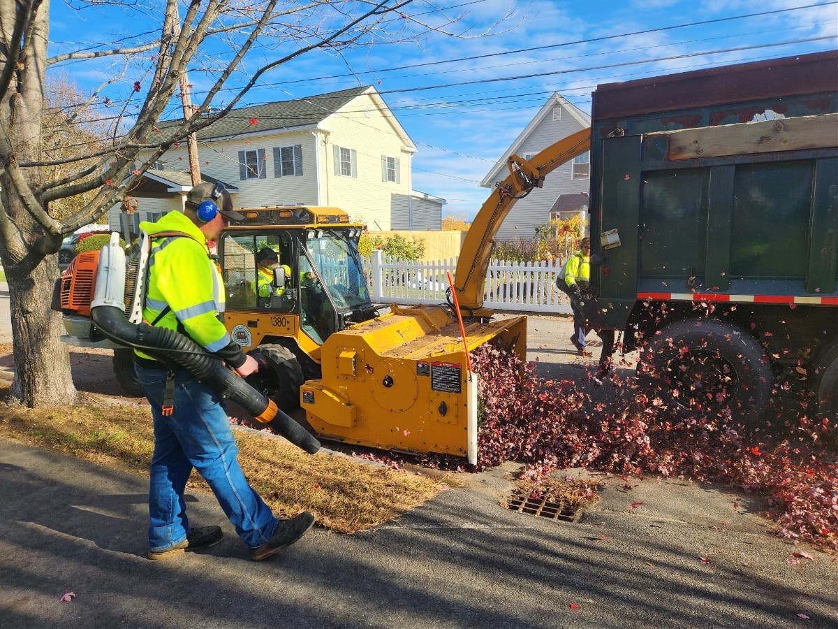 Road crew performing bulk leaf collection, 2025