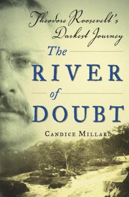 Stranger Than Fiction Book Discussion