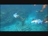 Christ of the Abyss Reef 