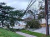 A tree takes down power lines in Enfield.