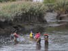 HCDS students gather fish with seine net