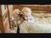 Girl,Hugging,Lamb,On,The,Farm