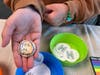 Patrons Craft Pride Buttons