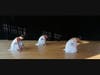 Students perform in the Summer Dance Intensive. 