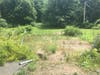 Land not properly maintained 