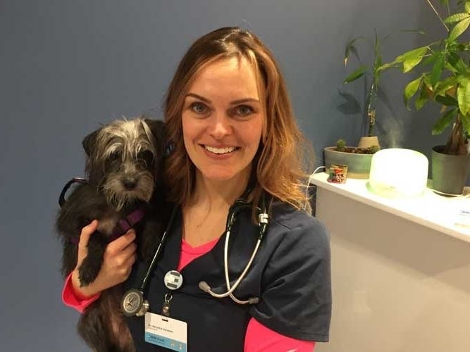 EMMAvet's Dr. Jarvinen and Monroe