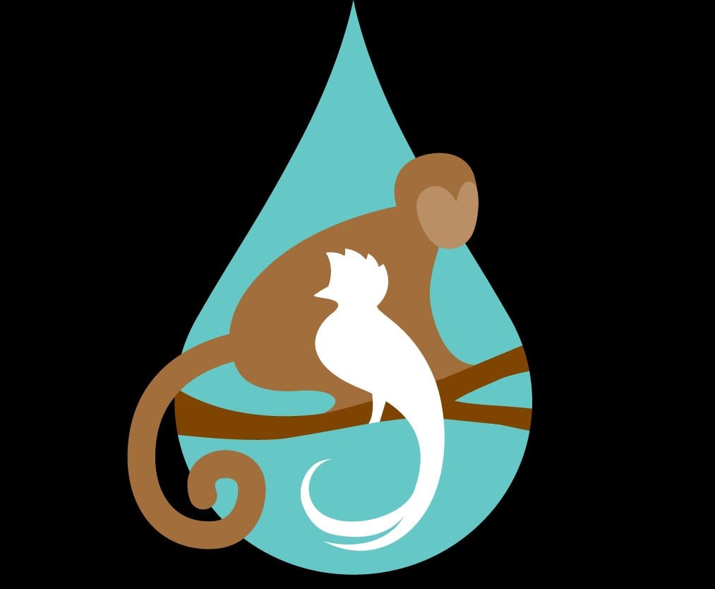 Nonprofit educates and inspires children and adults to protect, support and expand the rainforest