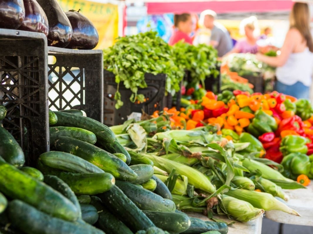 Operation Food Search is the only Missouri agency to receive the 2019 Healthy Food Financing Initiative grant.