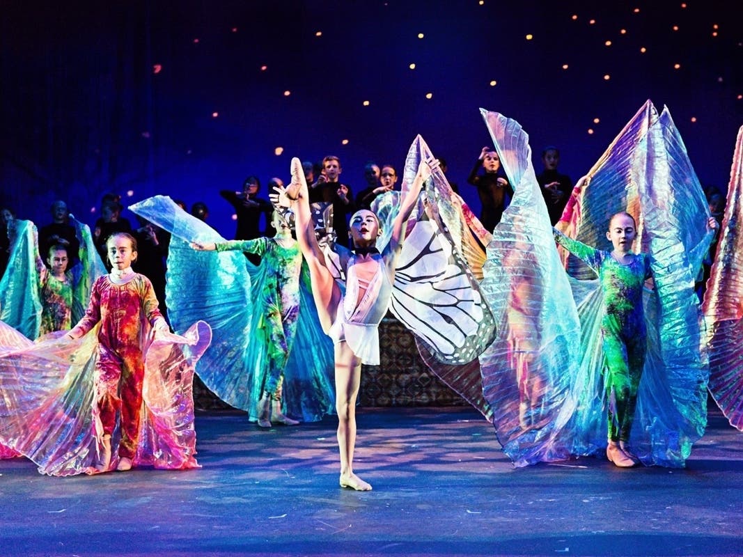 BAMtheatre’s 2018 summer production of The Lion King. 