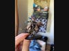 Warhammer figure