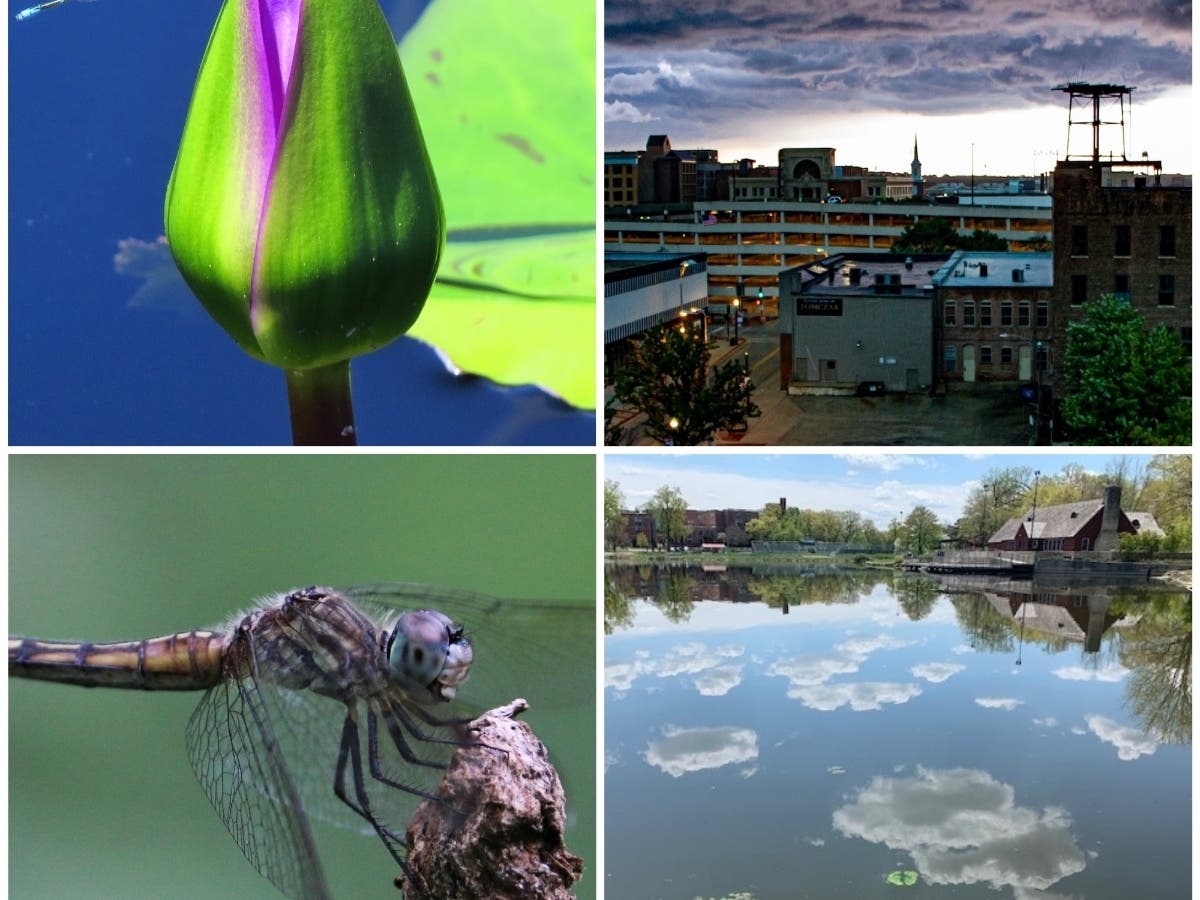 Some amazing shots make up this week's IL In Photos. 