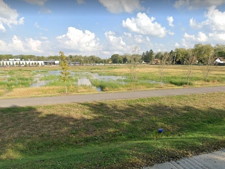 Freedom Pond, near the corner of 175th and Ridgeland in Tinley Park. 