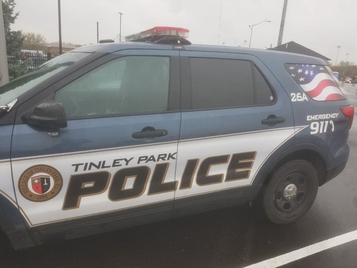 Tinley Park police arrested a man they say stole a community service car and crashed it in the parking lot of a sports bar.