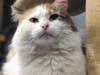 Glory is a beautiful girl who is ready to have her very own home and family.