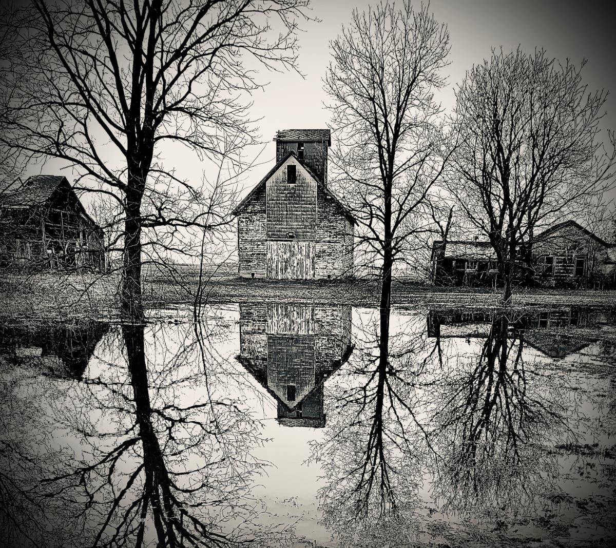 This week's Illinois Patch 'Photo of the Week' comes from Debby Jackson in New Lenox.