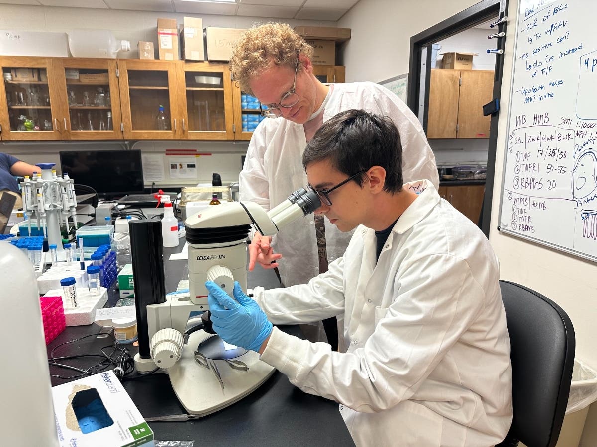 With guidance from mentor Michael Risner, Ph.D., Mathew Seidel conducted research on glaucoma that was recently published in the journal Scientific Reports.