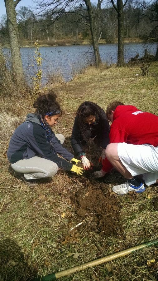 News small post card thumbnail